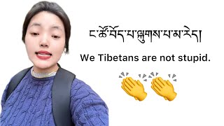 ང་ཚོ་བོད་པ་ལྐུགས་པ་མ་རེད། We Tibetans are not stupid👏 [upl. by Lysander164]