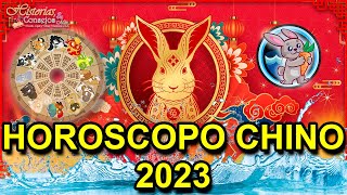 Predicciones Horóscopo Chino 2023  Todos los Signos Chinos  Año del Conejo de Agua [upl. by Burg]