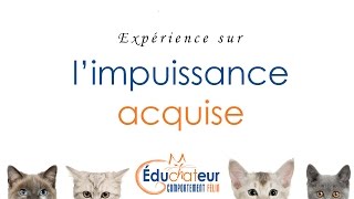 LIMPUISSANCE ACQUISE  Expérimentation [upl. by Silloh]