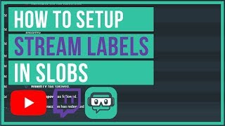 Streamlabs OBS  How To Setup Stream Labels Last Donation Sub Count and More [upl. by Rheingold]