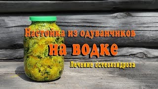 Настойка из одуванчиков на водке Лечение остеохондроза [upl. by Calandria5]