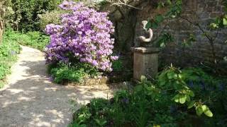 20160512 Hidcote Manor amp Gardens Chipping Campden UK  03 [upl. by Rdnaskela]