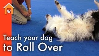 Teach Your Dog to Roll Over [upl. by Ennailuj]