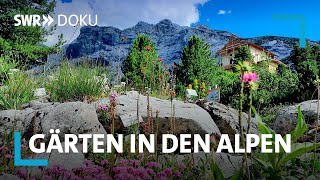 Zwischen Almen und Palmen  Gärten in den Alpen  SWR Doku [upl. by Noned]