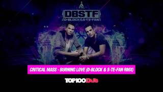 Critical mass  Burning loveDBlock amp SteFan rmx [upl. by Atalee]