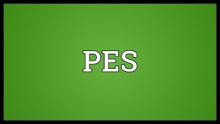 PES Meaning [upl. by Enninaej]