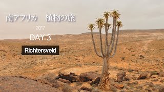 【南アフリカ 植物の旅】3日目 Richtersveldにてこの旅最大の目的であるアロエピランシーに出会う！ [upl. by Rillings]