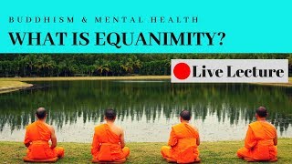 What is Equanimity and How Do You Cultivate It Buddhism amp Mental Health Live Lecture [upl. by Octave904]