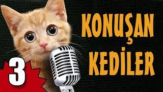 Konuşan Kediler 3  En Komik Kedi Videoları [upl. by Eleinad]