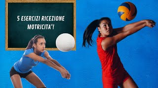 5 Esercizi Pallavolo Motricità Ricezione [upl. by Ahsinroc]