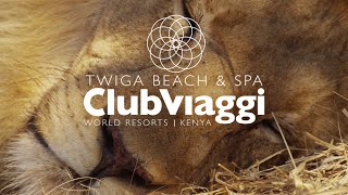 Twiga Beach amp Spa [upl. by Azeret644]