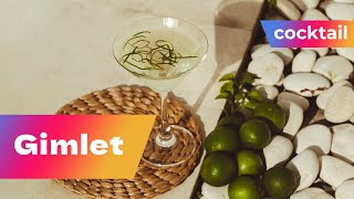 STOP Overcomplicating Your Gin Recipes and Try This Simple Gimlet Cocktail Recipe [upl. by Litton]