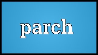 Parch Meaning [upl. by Nosyt]