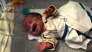 Jacksons sad Preemie cry [upl. by Nolaf]