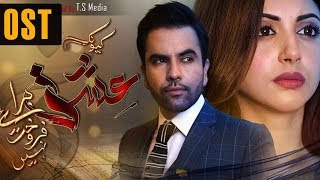 Kyunke Ishq Baraye Farokht Nahi  OST  Aplus  Junaid Khan Moomal Khalid Shehroz Sabzwari  C3N1 [upl. by Ecire]