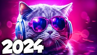 MÚSICA ELETRÔNICA 2024 🔥 AS MÚSICAS ELETRÔNICAS MAIS TOCADAS 🔥 Alok Vintage Culture amp David Guetta [upl. by Ailama]