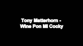 Tony Matterhorn  Wine Pan Mi Cocky April 2011 HD [upl. by Vivica]