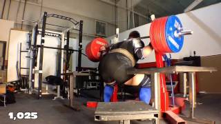 Blaine Sumner  2014 Arnold Training Highlights [upl. by Anij]