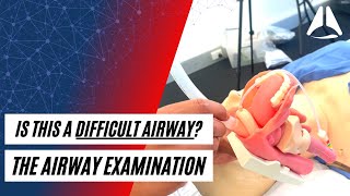 Is this a difficult airway The Airway Examination Fundamentals  ABCS of Anaesthesia Foundations [upl. by Mikey898]