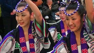 阿波踊り動画これが「娯茶平」正調阿波踊りAwaodori ノーカット版 傑作選❕ [upl. by Epolulot]