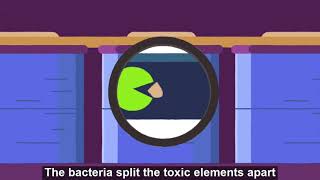 BacTech Bioleaching Process Subtitled [upl. by Yellat]