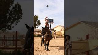 I played HORSE on a real HORSE [upl. by Eniad]