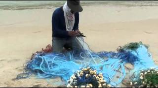 Fishing on the Lamai beach [upl. by Ynohtnaluap]