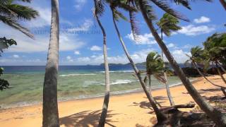 quotPerfect Palmsquot Hidden Island in Fiji Endless Nature Video w Stereo Sounds 1080p [upl. by Lesoj]