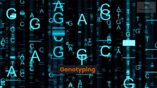 Genotyping [upl. by Perce]