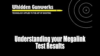 Understanding your Megalink Results [upl. by Anirb]