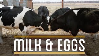 Milk amp Eggs  How to Make Everything Sandwich 612 [upl. by Koffler357]