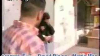 David Blaine  Pull chickens head off [upl. by Adile]