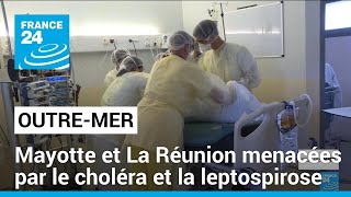 Mayotte et La Réunion menacées par le choléra et la leptospirose • FRANCE 24 [upl. by Reeva639]