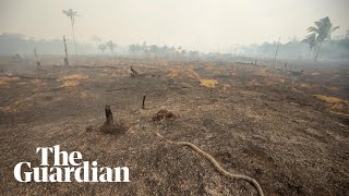 Drone footage reveals aftermath of Amazon fires [upl. by Zena]