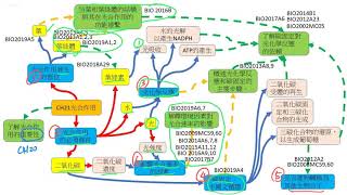 清TOPIC CH21生物科 DSE BIO CH21光合作用 Photosynthesis [upl. by Moir468]