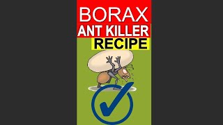 Ant Killer  Borax and Sugar DIY Ant Baits [upl. by Henig]