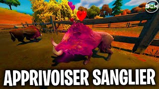 COMMENT APPRIVOISER SANGLIER FORTNITE APPRIVOISER LA FAUNE SAUVAGE COMMENT APPRIVOISER LES ANIMAUX [upl. by Ketty928]