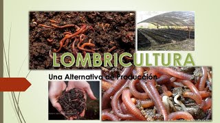 La Lombricultura como negocio rentable [upl. by Smiga]