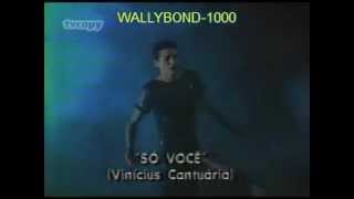 SO VOCÊVINICIUS CANTUÁRIAVIDEO ORIGINAL 1984 HQ [upl. by Dorcy881]