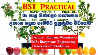 BST ll පැල නිෂ්පාදන තාක්ෂණය 1උපාංග හඳුනා ගැනීමට පුහුණුවන වීඩියෝව ll රංජන වීරකෝන් [upl. by Ecinnaj393]