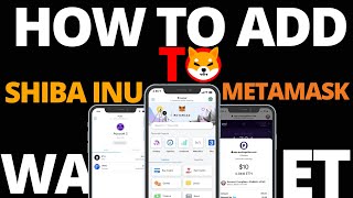 How To Add Shiba Inu To Metamask Wallet 2024 [upl. by Barbara-Anne]