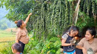 Single mothers life  taking care of children picking wild fruits pregnant mothers duck coops [upl. by Stefa]