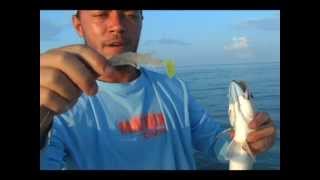 Redfishing with Captain Marty LaCoste Part 2 [upl. by Ithaman266]