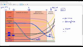 Aula 6  Anemias Hipocrômicas  Ferrodeficiência  Anemia de doenças Crônicas  Exames [upl. by Godred764]