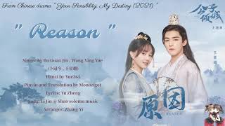 OST Your Sensibility My Destiny 2021  Reason 原因 By Bu Guan Jin  Wang Xing Yue 卜冠今  王星越 [upl. by Koy]