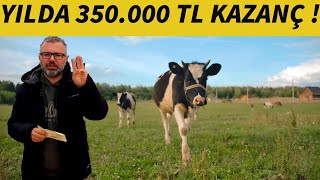 3  5 İNEKLE BUTİK SAĞMAL PERAKENDE SÜT İŞİ KURMA MALİYETİ VE KAZANCI [upl. by Arraeit]