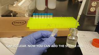 How to Make StockampAliquots Primer Solutions For PCR 2b Tutorial [upl. by Verene]