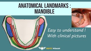 Anatomical Landmarks  Mandible  easy to understand [upl. by Noorah]