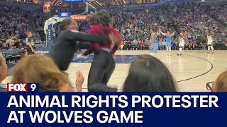 Video of animal rights protester entering Timberwolves court getting tackled by security  FOX 9 [upl. by Ordnazil523]