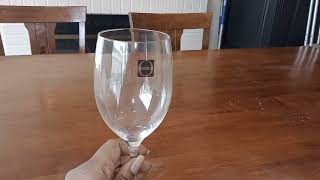 ONEIDA Karen MacNeil Flavor First Crystal Wine Glasses Quick Review [upl. by Theodor]